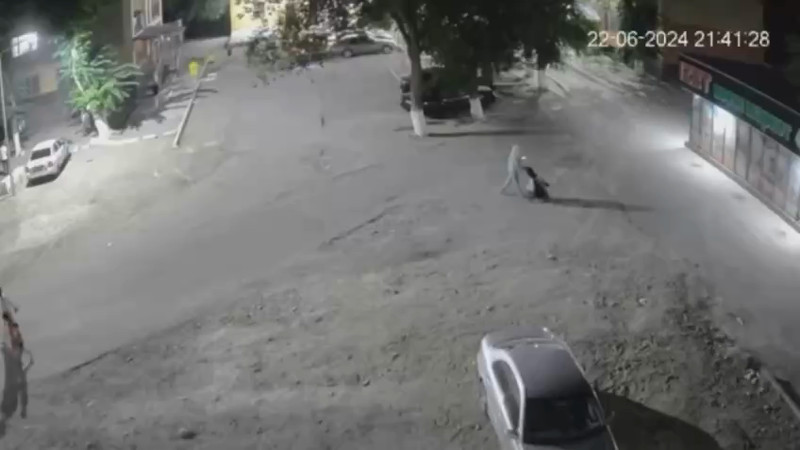 Видео Instagram / @taraznews.kz