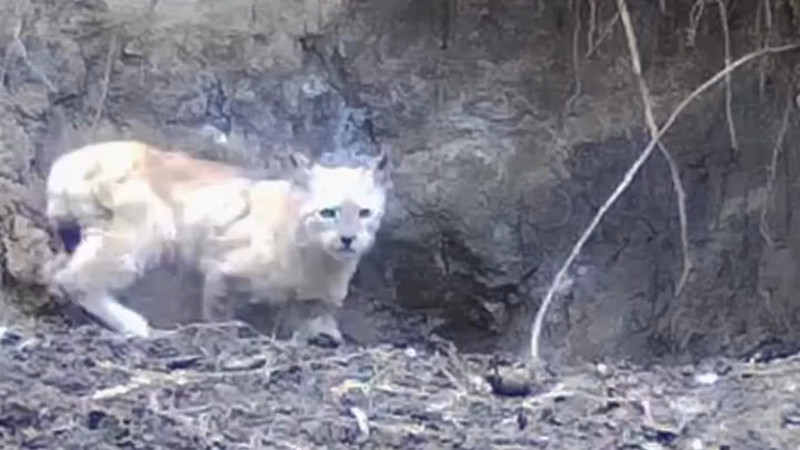 Кадры из видео